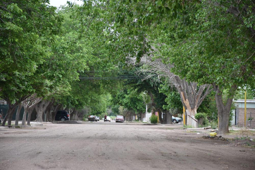 314954865_565292525405691_5550713827279672636_n