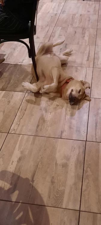 multimedia.grande.b82230f022c6d4dc.6d756c74696d656469612e6772616e64652e39323036313963666332353739645f6772616e64652e6a7067