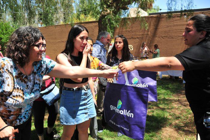 Bus-tour-descubriendo-Guaymallen-8-700x467