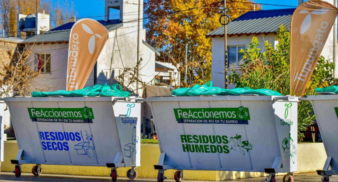 Día-del-Medio-Ambiente-acciones-que-lleva-a-cabo-Tgto-1-1170x630