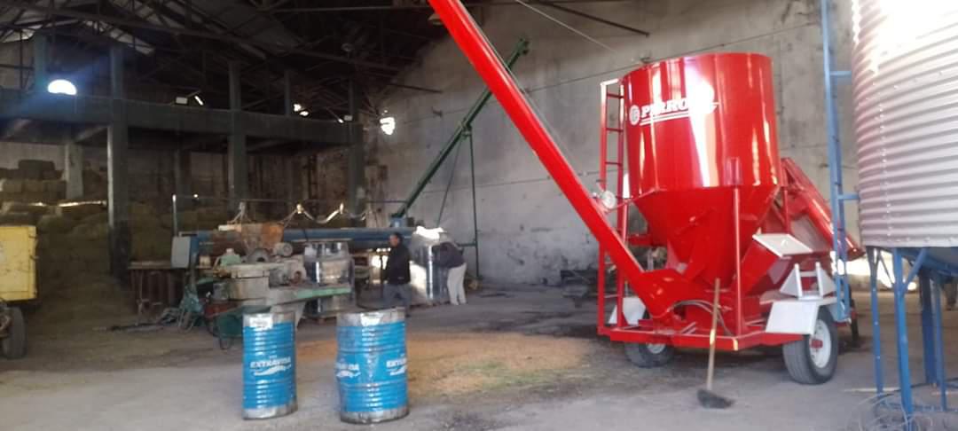 FB_IMG_1698285318795