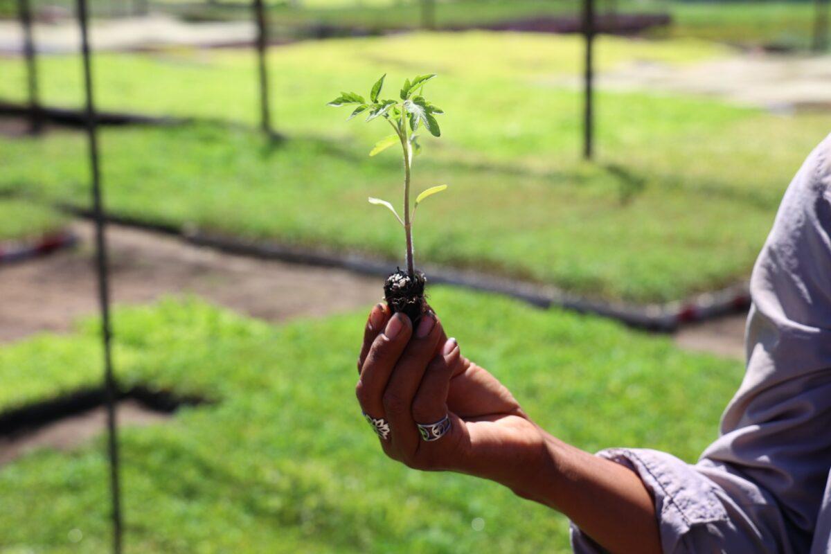 WhatsApp-Image-2023-01-31-at-12.38.41-1200x800