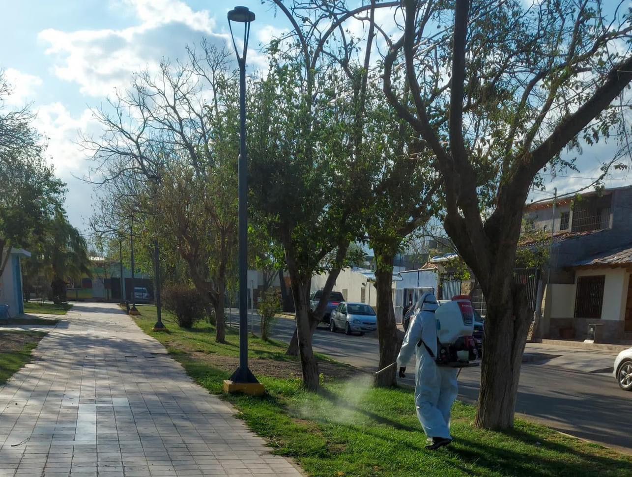 Maipú prevención Dengue 1