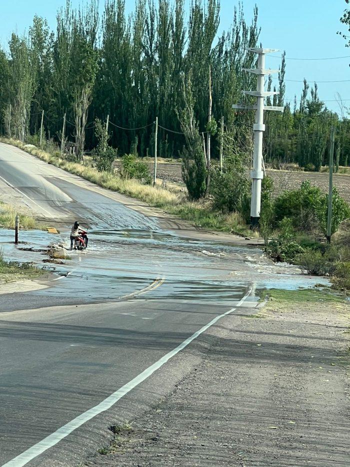 WhatsApp-Image-2023-12-27-at-12.29.26-1-700x933