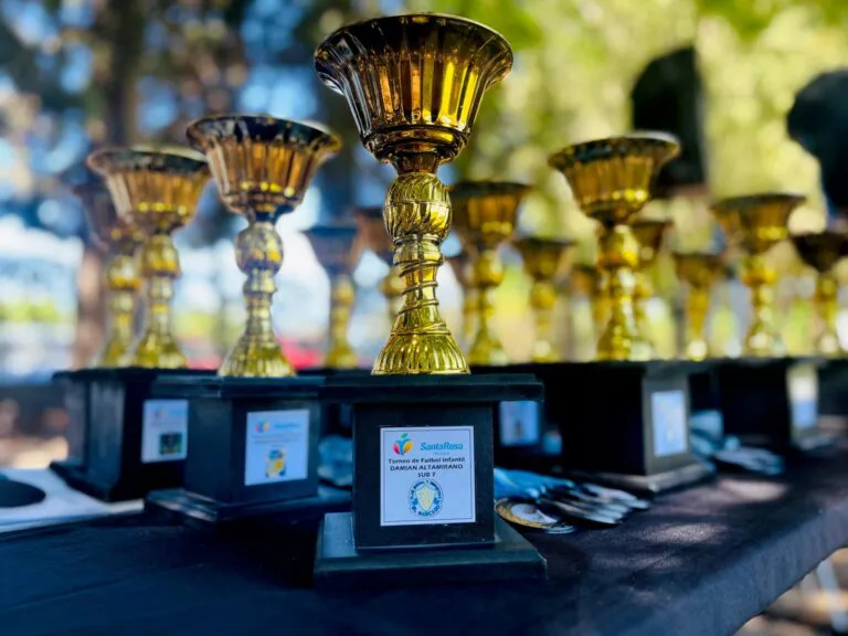 IMG-20241130-WA0103-768x576