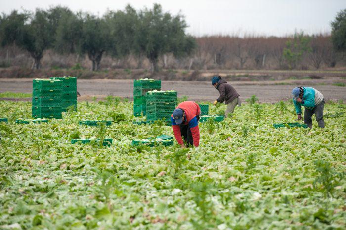 cosecha-expo-verde-700x466