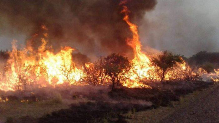 general_alvear_incendios_486586458645645-700x394