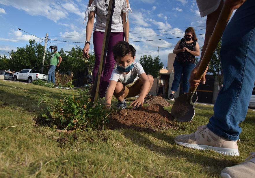 niño-planta-arbol-godoy-cruz