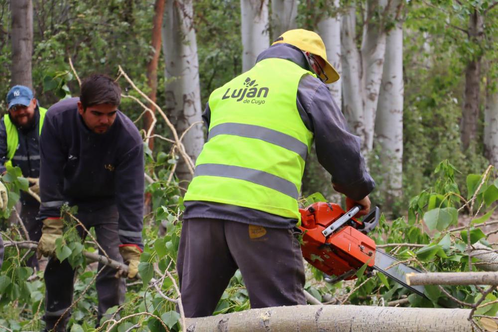 Operativo integrado de mitigación de daños que causó el viento zonda 3