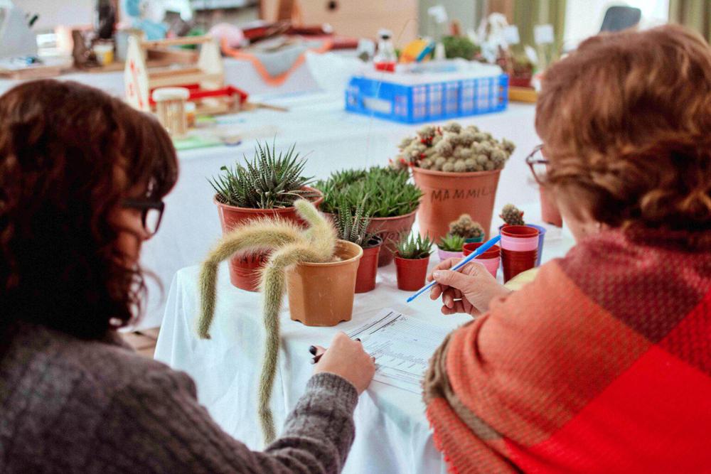 Capacitacion-para-Emprendedores-Tgto2-1536x1024