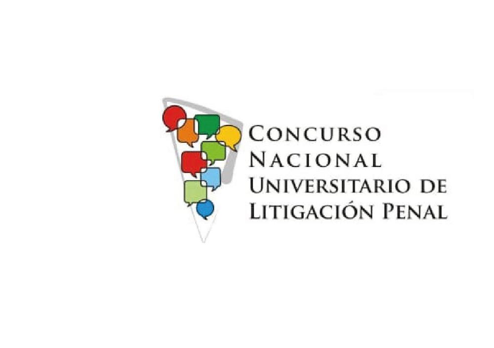 litigacion_Mesa-de-trabajo-1