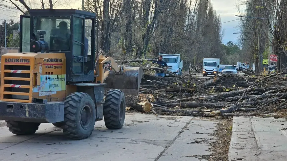 multimedia.normal.adbf01e833b5c8d2.MzYwMTE5NzcxXzgyOTE1NzQwMjEzOTk3MF82ODU4MDVfbm9ybWFsLndlYnA=