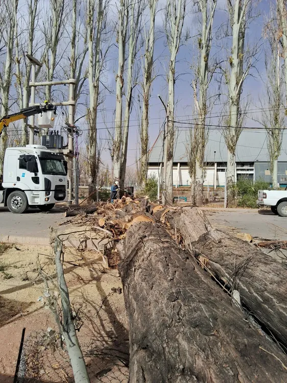 e2cc54a3-3471-48ba-93b0-71e5fdf0ecf0