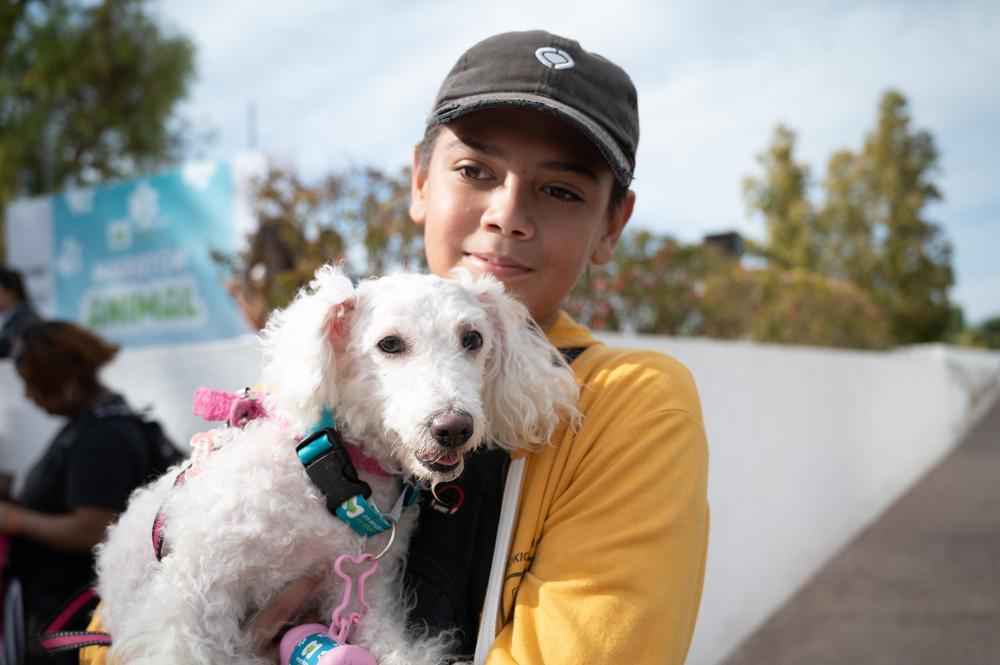 Salud-animal-Ciudad-Mendoza-turnos