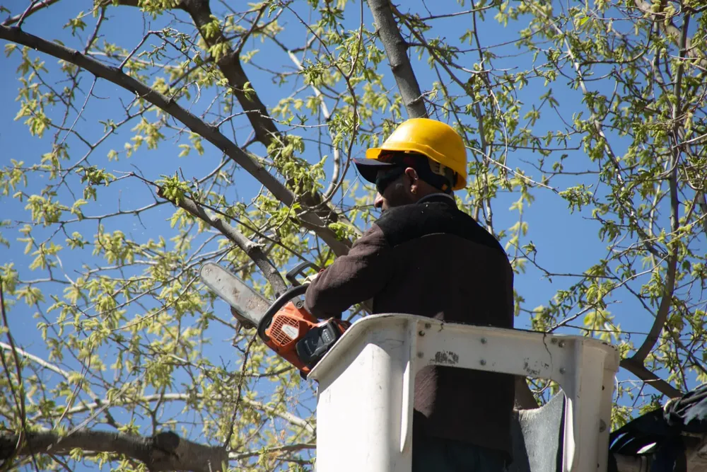 b9ba9da5-79b0-fcca-7a31-f709ddbe8b6b-1536x1024