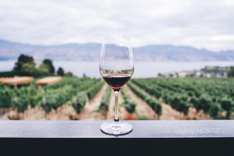 vino2-768x512