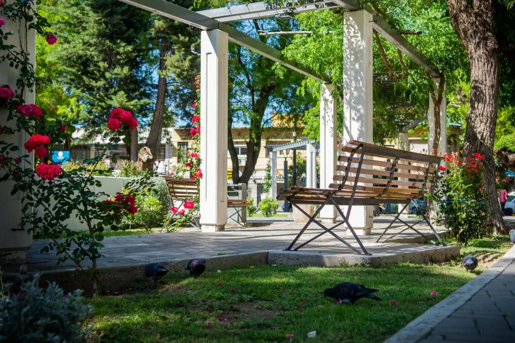 WhatsApp-Image-2024-10-29-at-10.03.52-1024x682