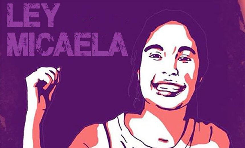 Ley-Micaela-860x520