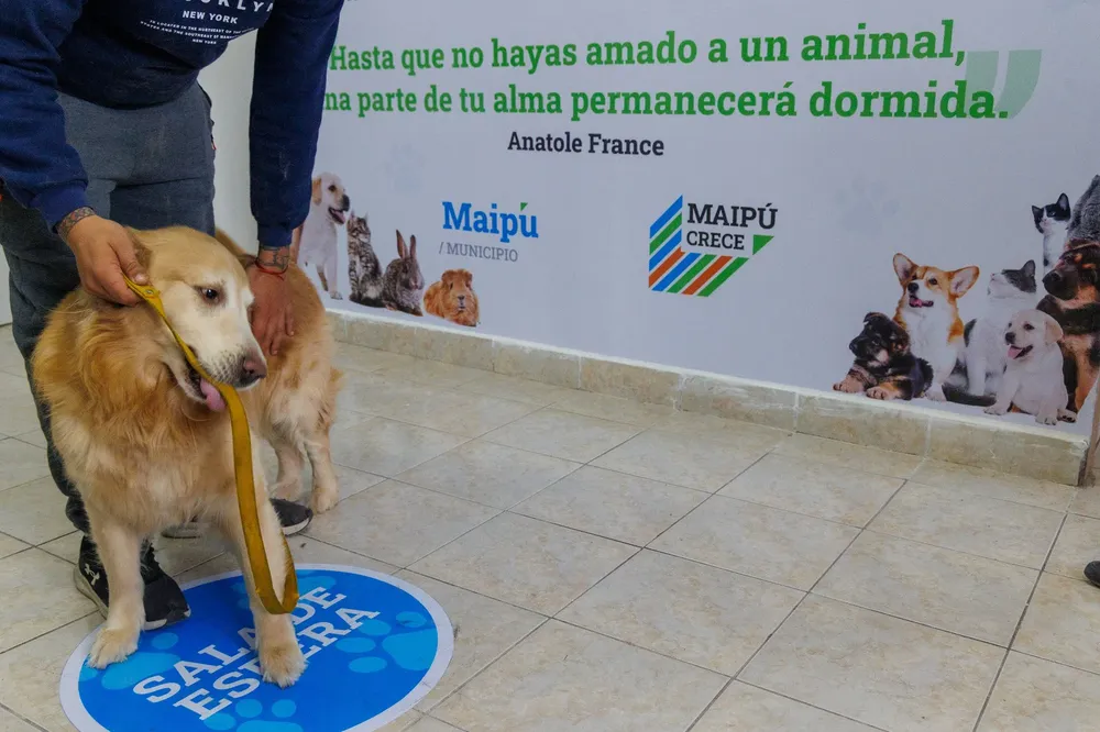 Centro de Atención Primaria Veterinaria Maipú 3