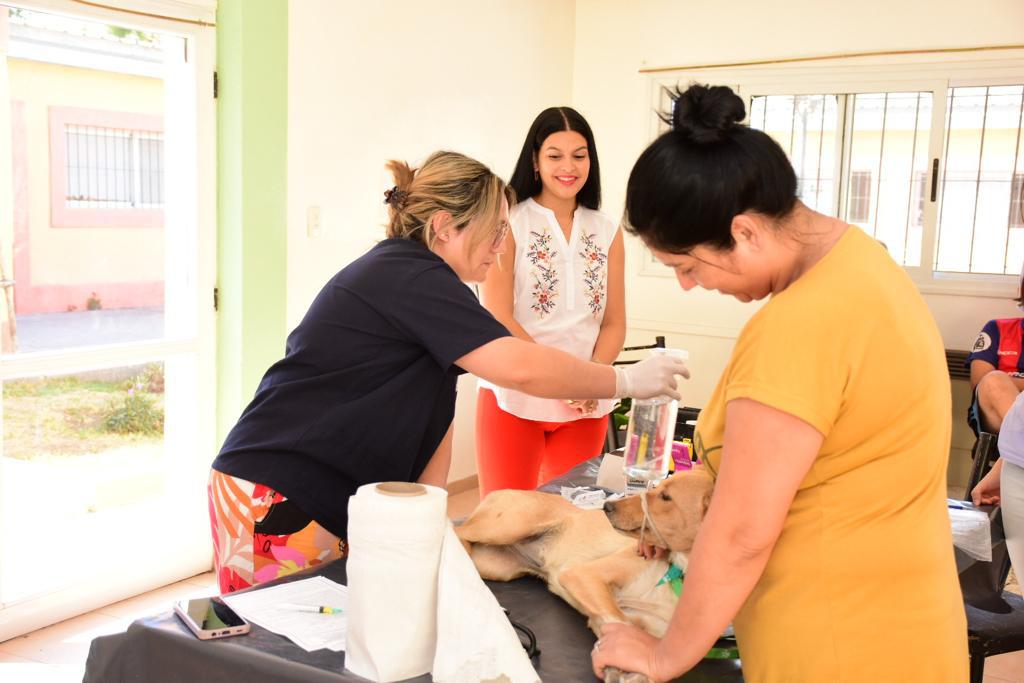 WhatsApp-Image-2024-01-16-at-10.31.29-2