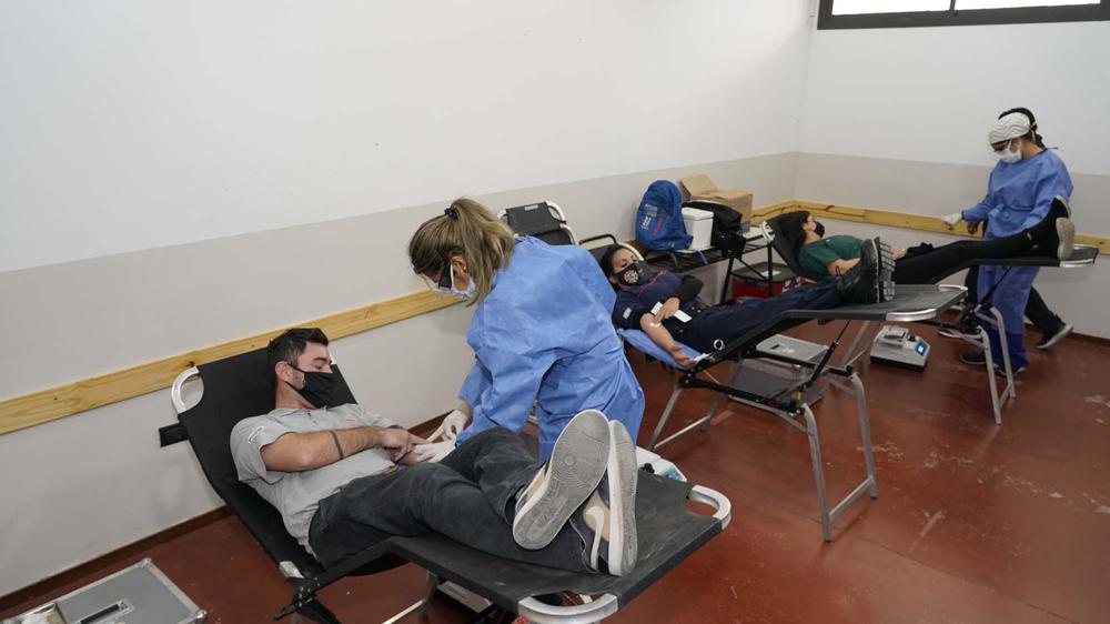 EN-LA-COLONIA-SE-DESARROLLO-UN-NUEVO-OPERATIVO-DE-RECOLECCION-DE-SANGRE-4
