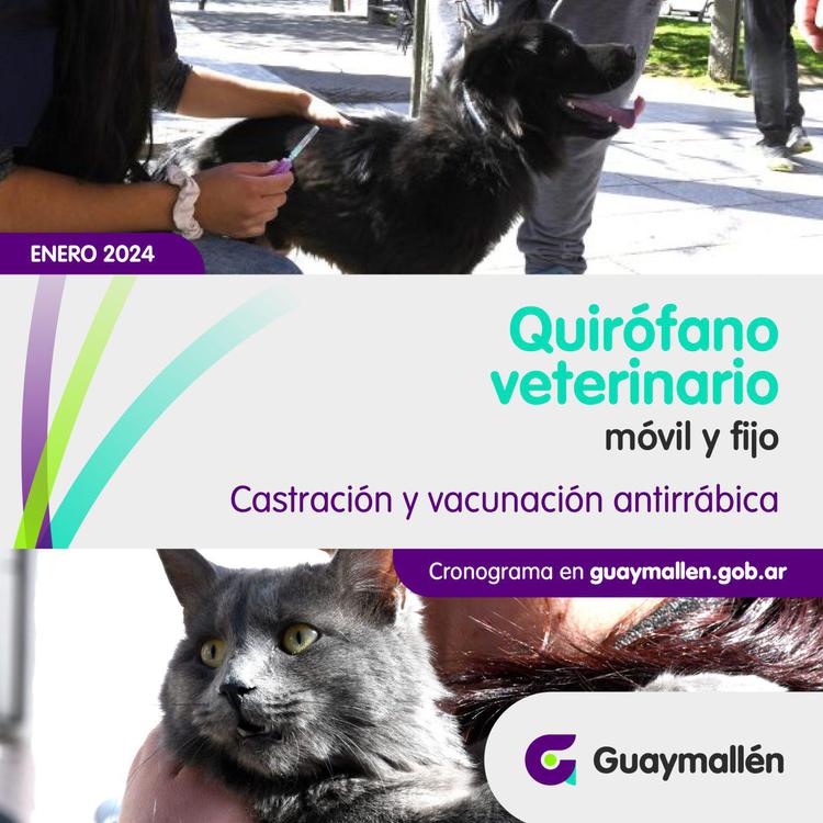 PLACA_Quirofano_Veterinario_01-1-1536x1536