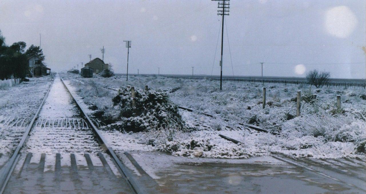 WhatsApp-Image-2022-04-13-at-9.50.17-AM-1-1