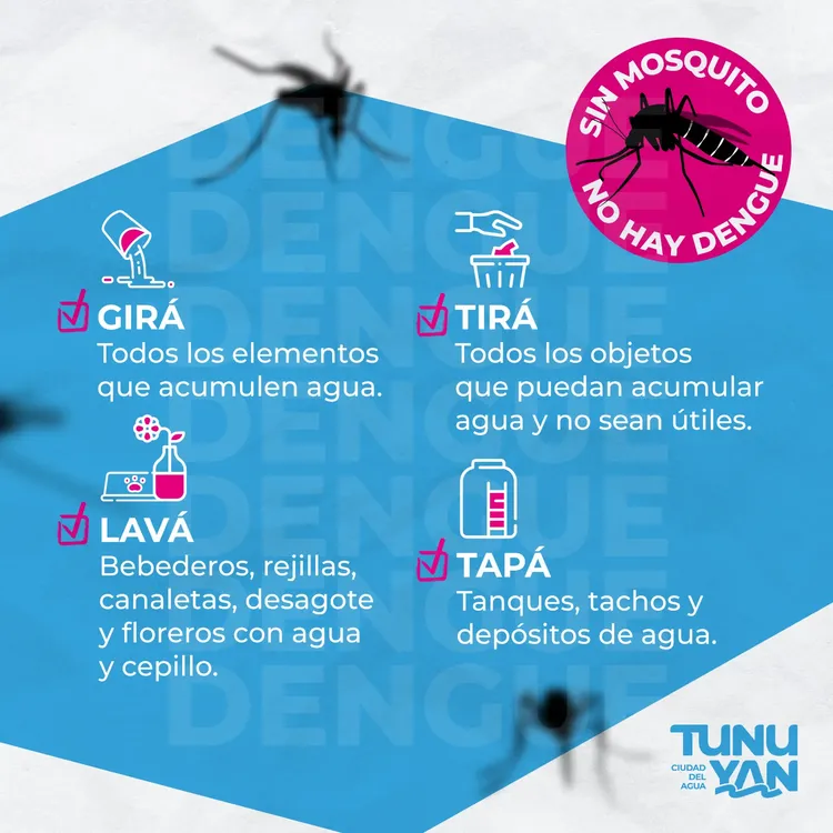 WhatsApp-Image-2024-10-14-at-21.18.52