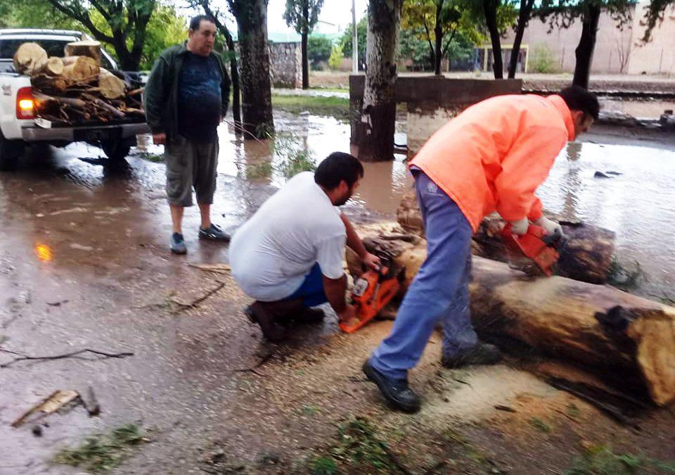 ASISTENCIA-960x675