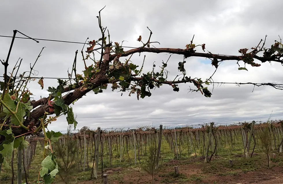 3L5PQWGGR5BY7M53UQJHR6KTLE