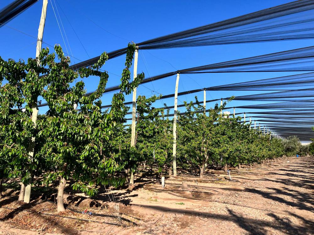 WhatsApp-Image-2023-10-19-at-13.08.50