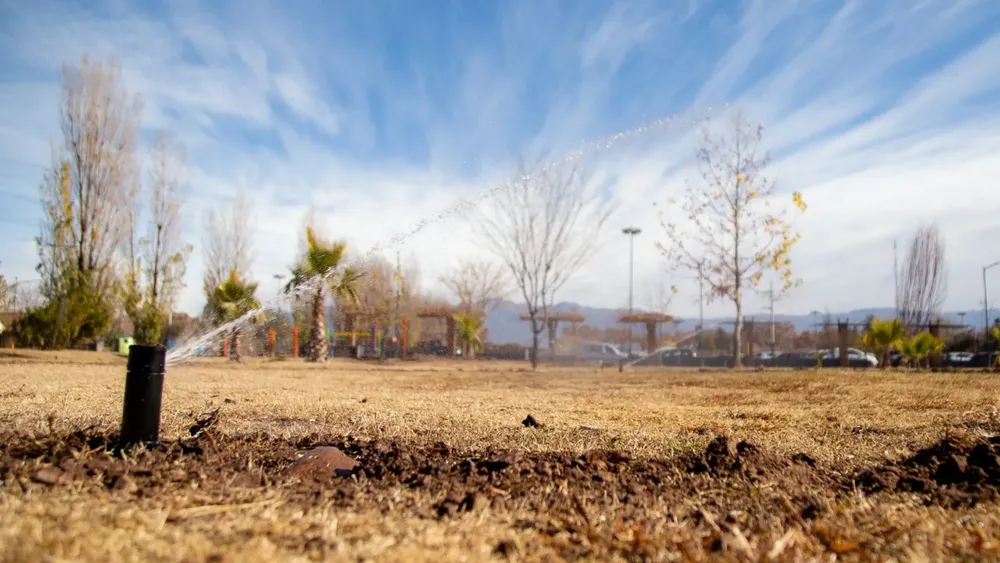 multimedia.normal.b2fc94d7e48858f6.RXhwbyBBZ3VhIHkgUHJvZHVjY2nDs24gU3VzdGVudGFiX25vcm1hbC53ZWJw