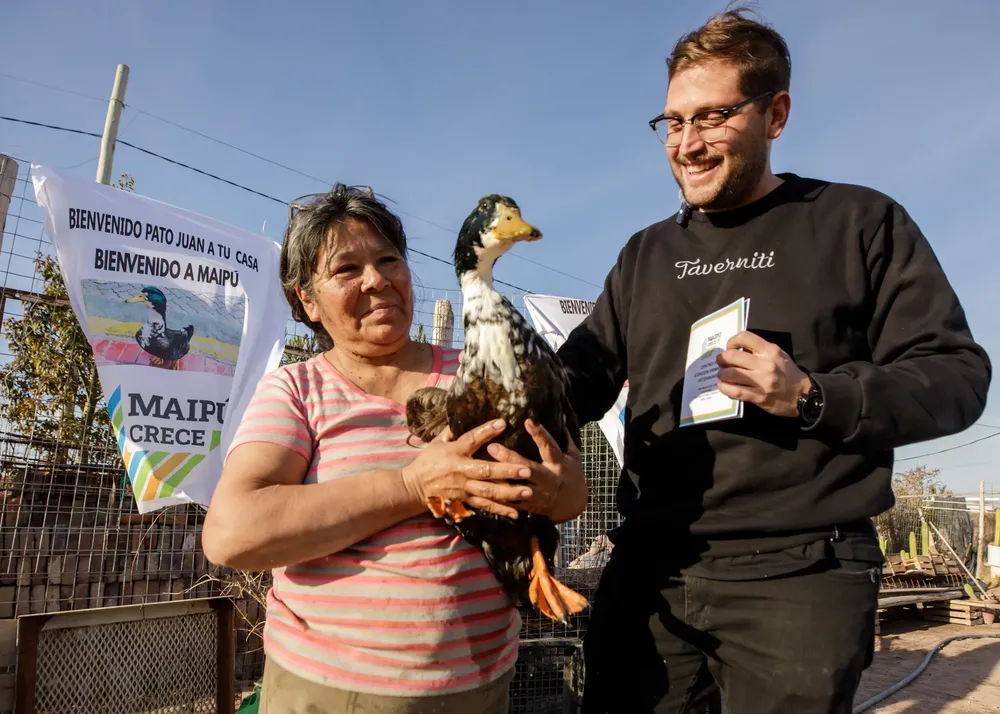 Pato Juan Maipú 3