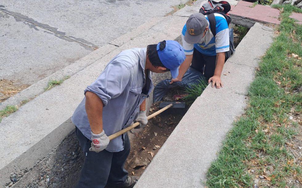 WhatsApp-Image-2024-02-08-at-13.09.26-2-980x609