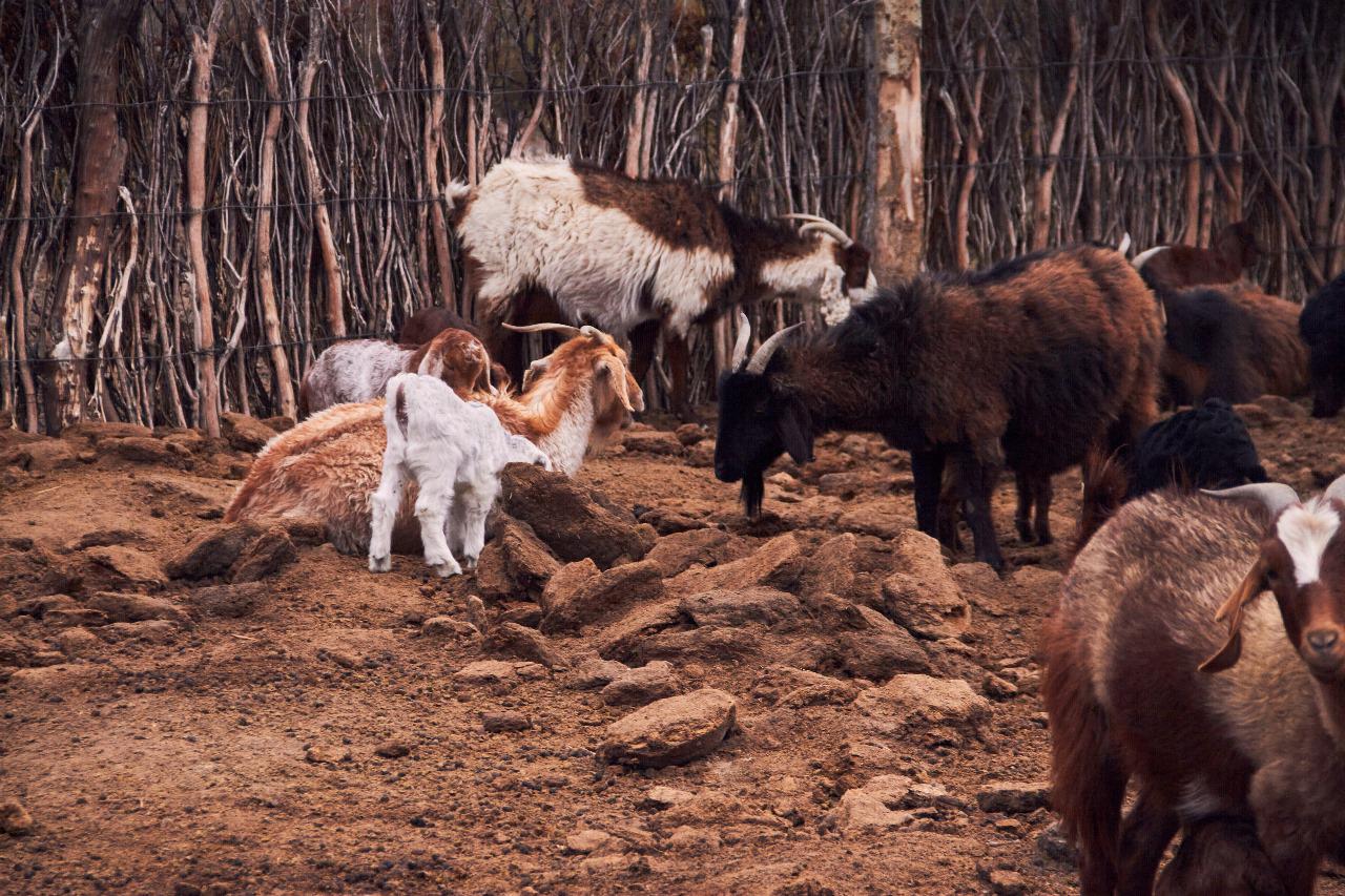 WhatsApp-Image-2023-10-09-at-10.26.55