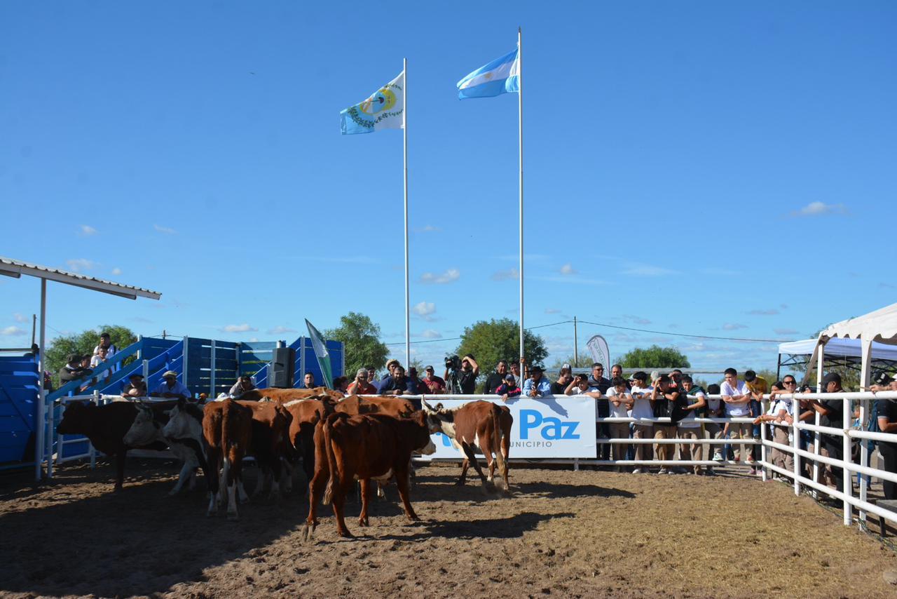 WhatsApp-Image-2024-04-26-at-8.50.48-PM-1