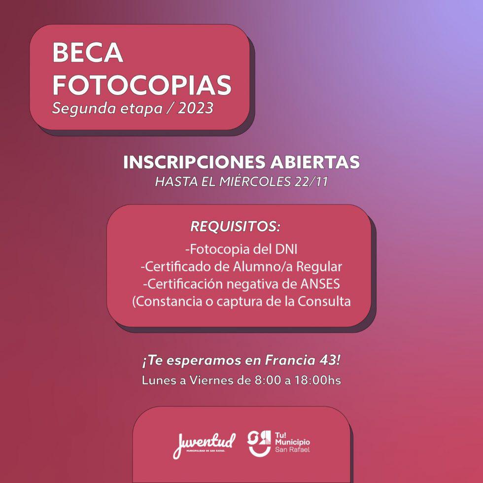 14116c6d-a0ab-4986-87cb-9b70c75eeec9-980x980