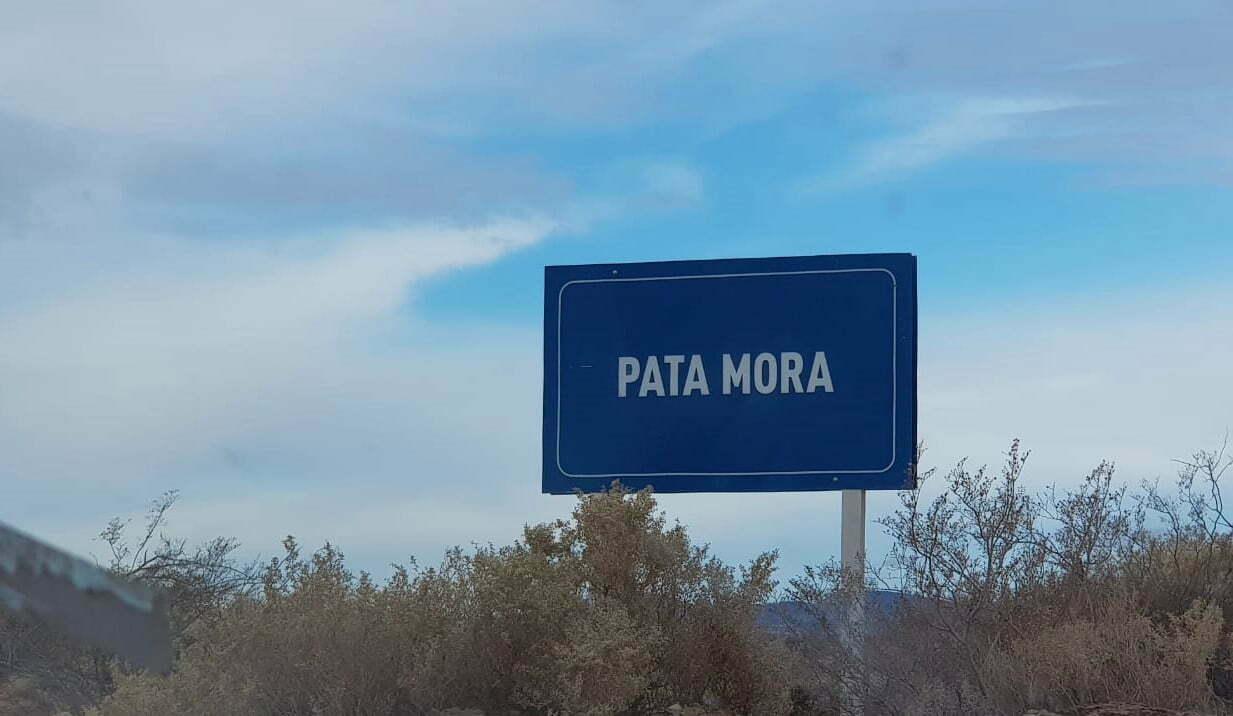 pata-mora
