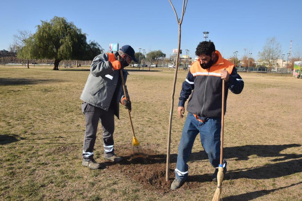 tadeo-en-expo-árbol-2021-4