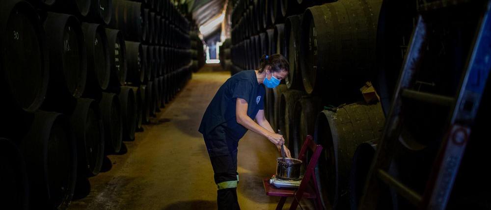 BODEGA1a