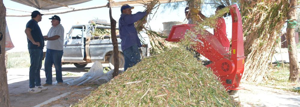 IMG_PORT_20240312093450