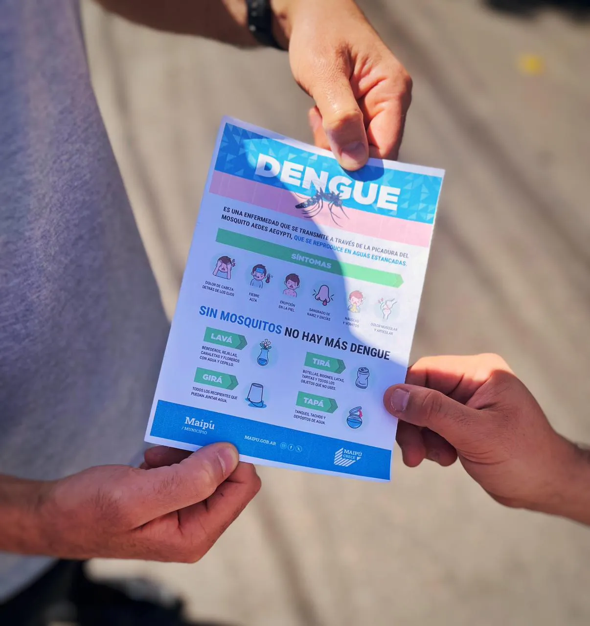 Maipú contra el Dengue