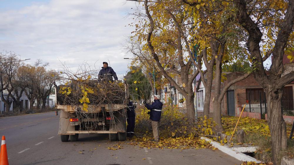 La-iluminacion-LED-llega-al-distrito-de-Bowen-scaled