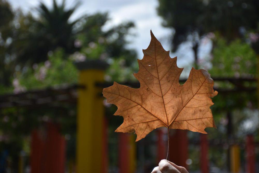 DSC_7245-scaled