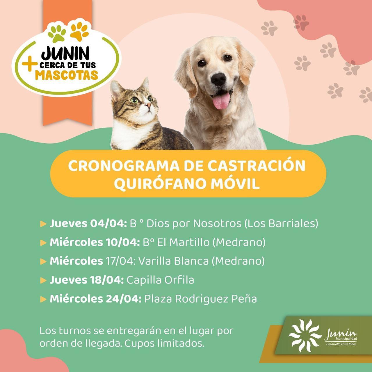 Cronograma-de-Vacunacion