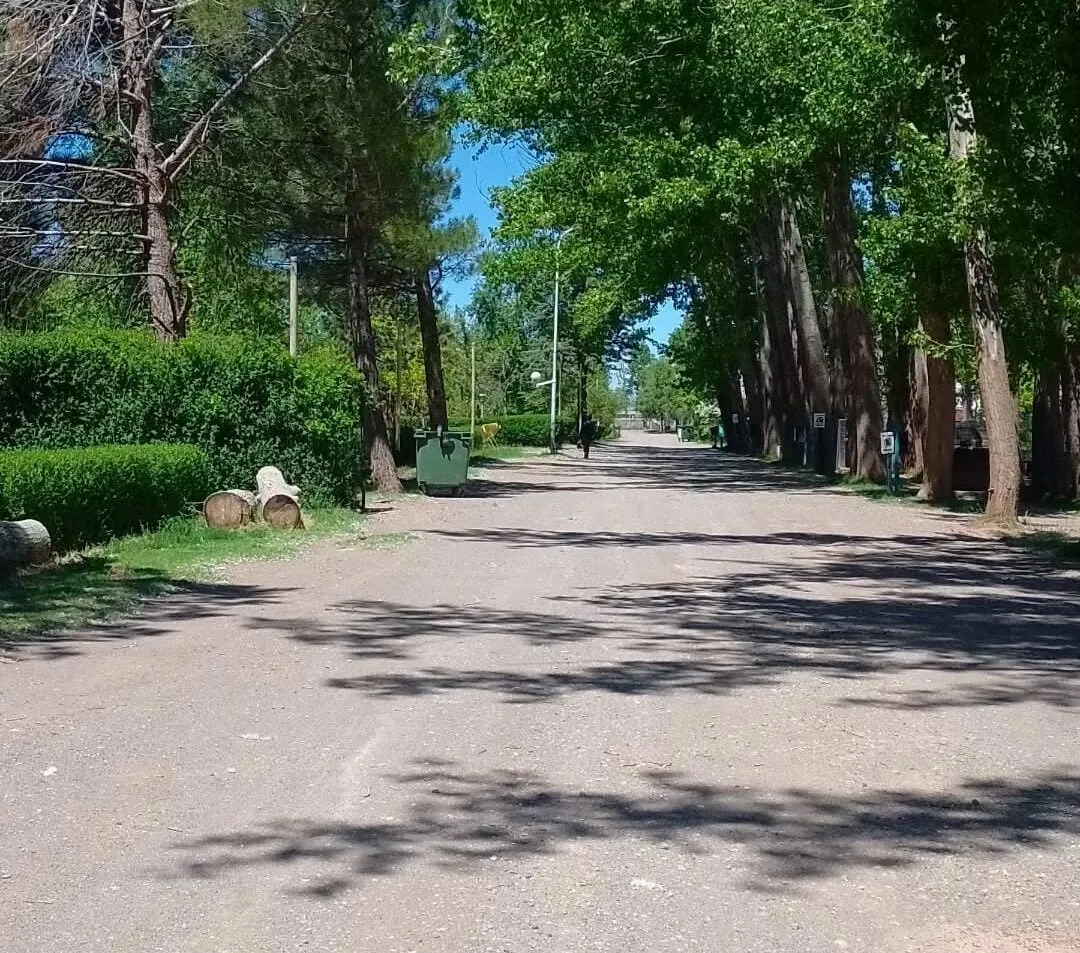 3078fa2a-a0f7-4cc0-b9bf-d99426517bfb-e1736345368404