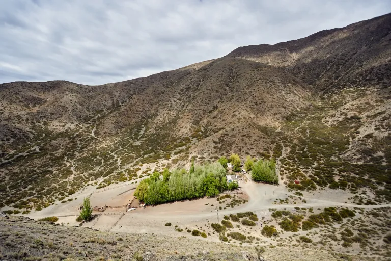 desarollo-caprino-en-las-heras-_3_